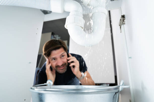 Best Leak Detection Services  in Arlington, TN