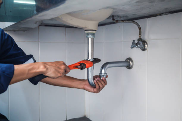 Best Local Plumber Services  in Arlington, TN